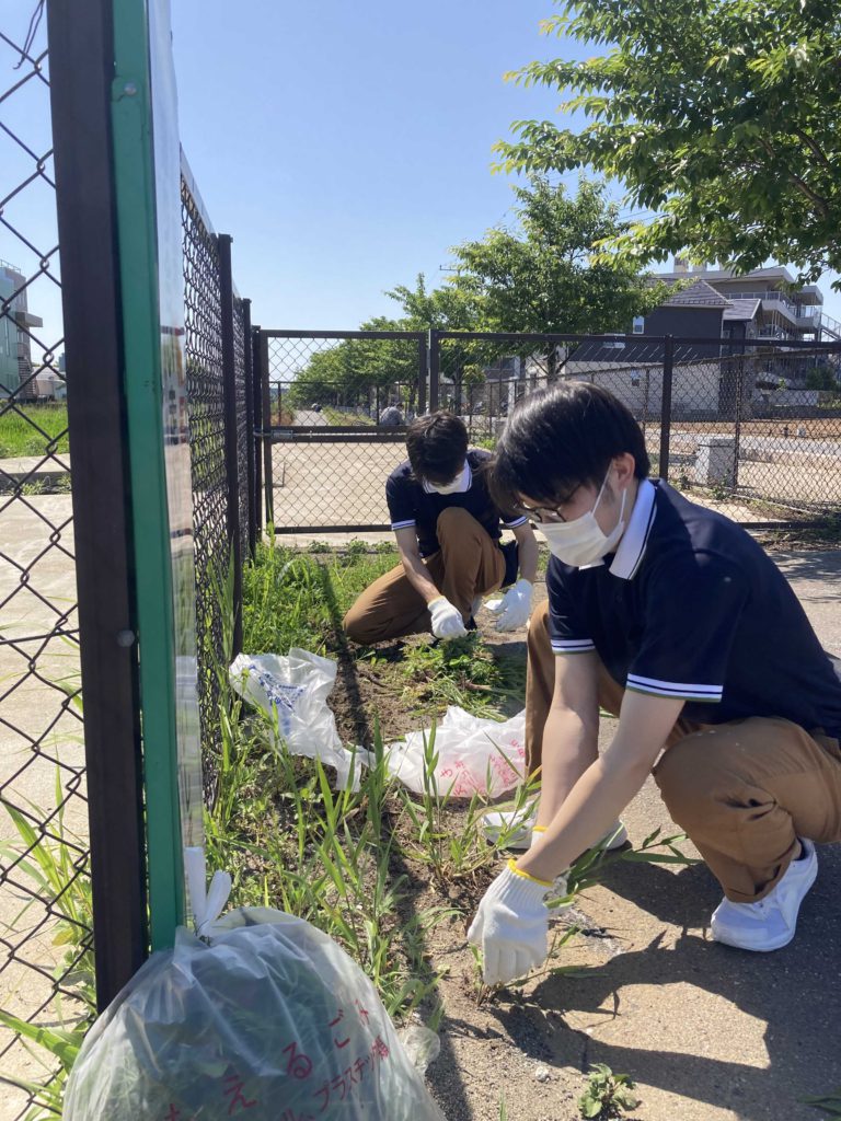 草を抜く様子